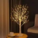 Arbre Bouleau Lumineux 1