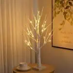 Arbre Bouleau Lumineux 4