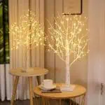 Arbre Bouleau Lumineux 5