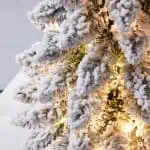 Arbre Enneigé Lumineux 2