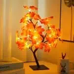 Arbre Lumineux Erable 1