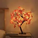 Arbre Lumineux Erable 3