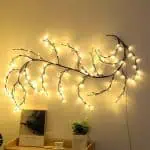 Branche Lumineuse 2