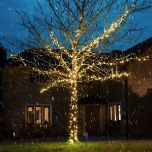 Guirlande Lumineuse Arbre 1