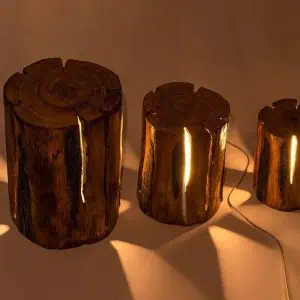 Tronc D'Arbre Lumineux 1